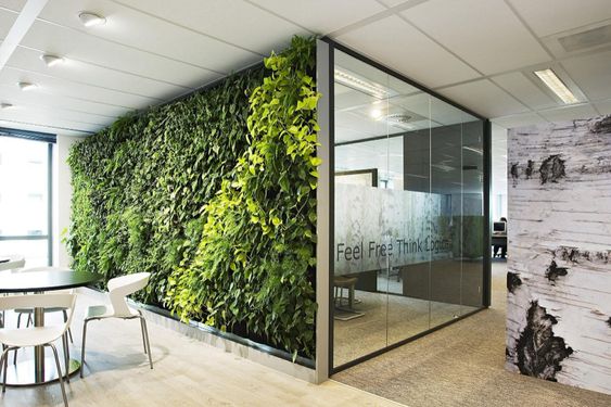 Thêm một bức tường với dây leo cây xanh vừa tạo điểm nhấn cho văn phòng vừa đem lại không gian tươi mát của thiên nhiên.