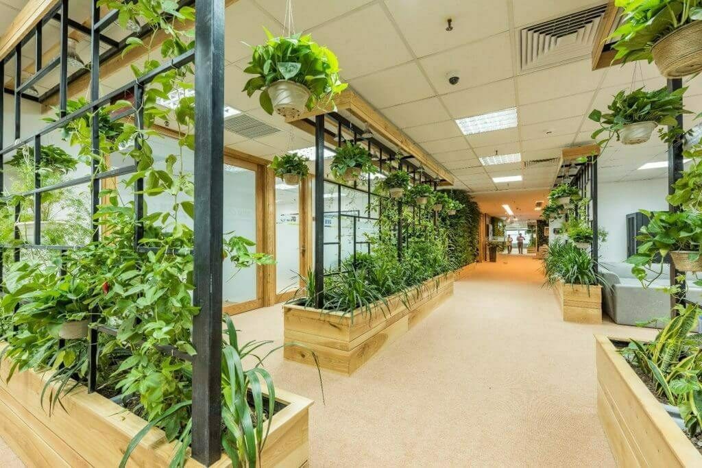 Phong cách thiết kế văn phòng xanh Eco